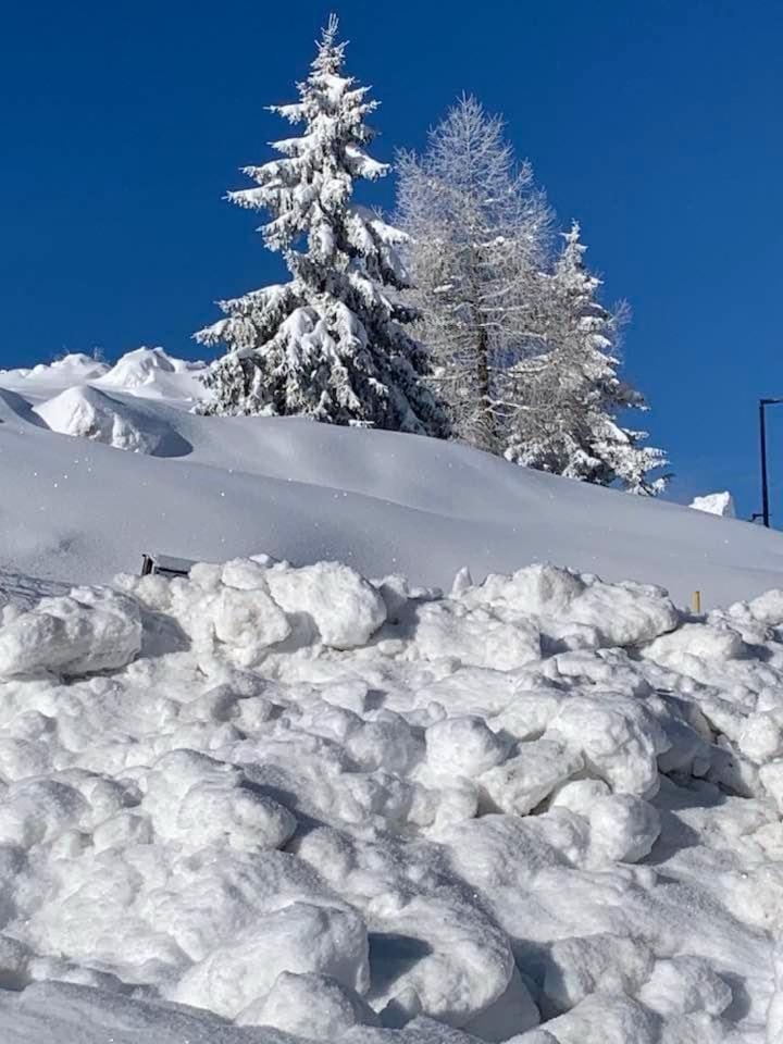 White Home Tonale Passo del Tonale Zewnętrze zdjęcie