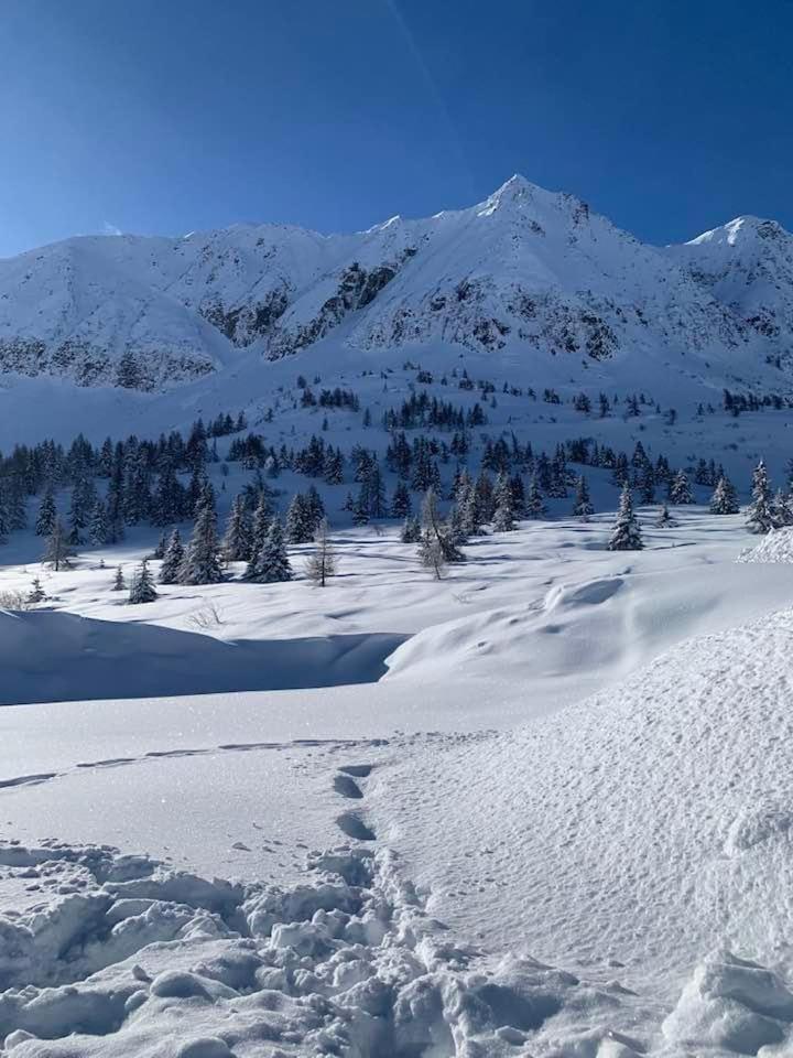 White Home Tonale Passo del Tonale Zewnętrze zdjęcie