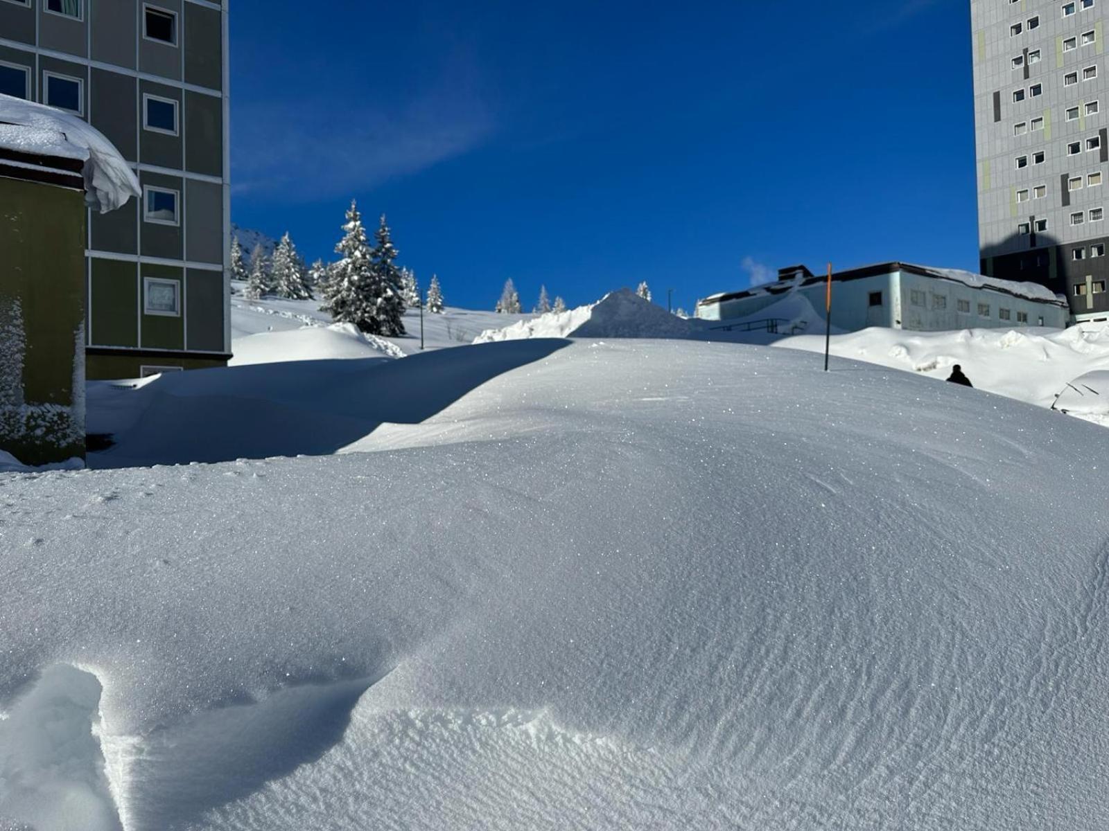 White Home Tonale Passo del Tonale Zewnętrze zdjęcie